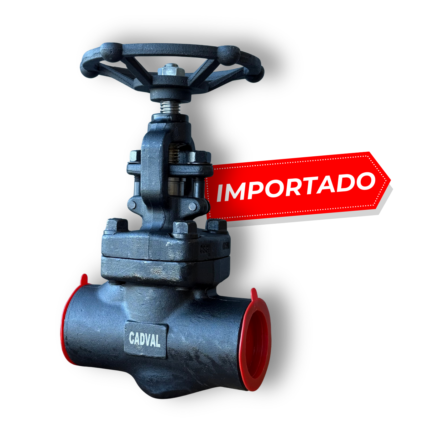 globo 800.png